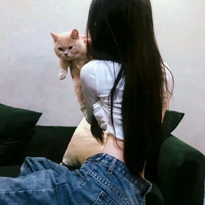 面团与炸药
